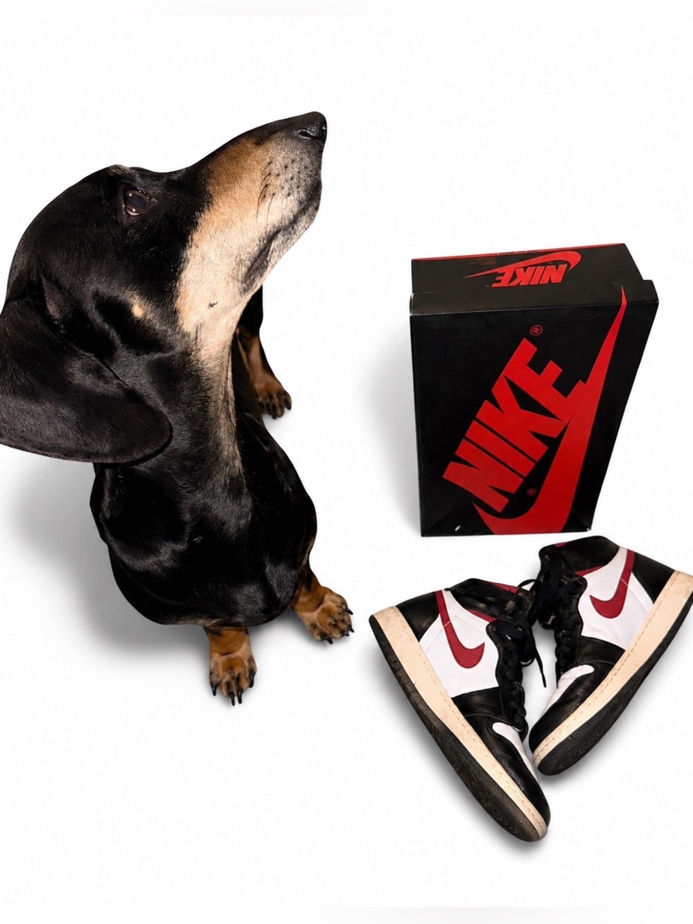 Nike Air Jordan 1 Retro OG High Top Sneakers